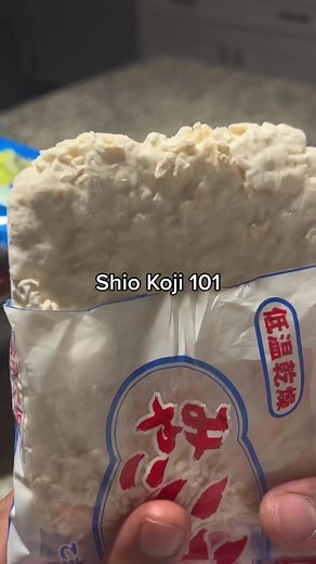 Shio Koji 101: Mastering the Art of Fermentation