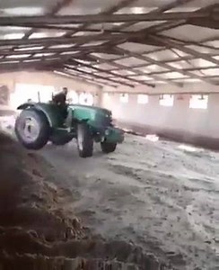 14K views · 126 reactions | Liam Devlin spotted | Pristine Ireland | Facebook