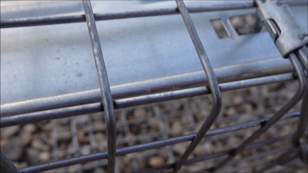 Watch Live Animal Trap Demo - So Easy! on Amazon Live