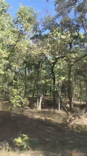 tu hi mera pyar gori ❤️