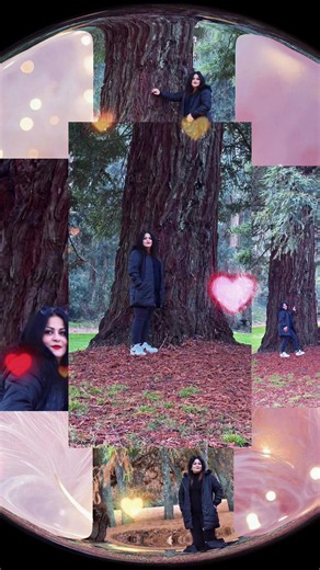 Shain begs (@shain_begs1)’s videos with original sound - Lovesong4life