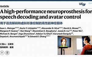 【文献共享】A high-performance neuroprosthesis for speechdecoding and avatar control