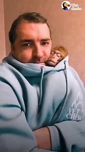 884K views · 10K reactions | Tiny rescue monkey loves curling up in the hood of Dad's sweatshirt ❤️ | The Dodo | Facebook