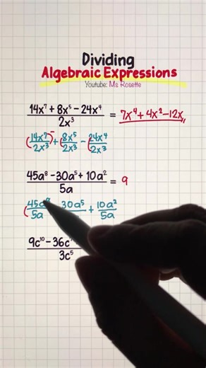Division of Algebraic Expression #algebra #mathematics