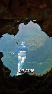 Part 1, suit 1 👙 Stay tuned for the next review. I am wearing a 2x. No code needed 💕 🌊 The bottoms have little waves all over them! Super cute! 🎥 Taken by @ashley_underwater_ 🧦 by @thundathighs (Save 10% using code DANIELLE10) #allthingsmermaid #underwater #plussizebathingsuits #meetcurve #florida #plussizestyle #plussizemodel #plussizebathingsuitseries #part1 #explorer #explorerpage #explorerbabes | Danielle Cecil