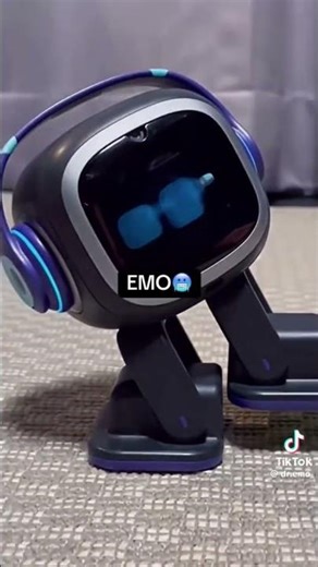 My robot play Red light green light