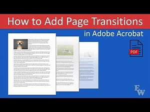 How to Add Page Transitions in Adobe Acrobat (PC & Mac)