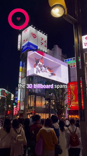 Japan's Giant 3D Cat in Shinjuku