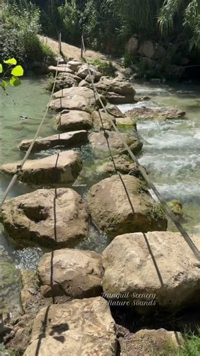 Rocky Bridge with Rob⛰️ Crossing Mountain River #naturesounds #watersounds #riversounds #rocks