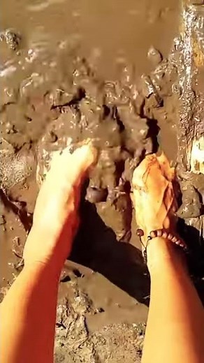 Barefoot in the Forest