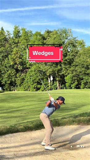 Discovering Wedges: An Essential for Language Learning