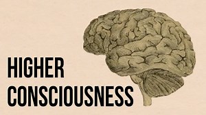What Is Higher Consciousness?: How We Can Transcend Our Petty, Day-to-Day Desires and Gain a Deeper Wisdom