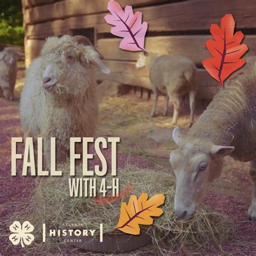 The Fall Fest with 4-H countdown starts now! In less than 40 days, Atlanta History Center celebrates the changing of seasons with a day filled with historic demonstrations, 4-H interactive programming, garden activities, games, and more! 🐓🐑🍂 This programming is included with the cost of admission! Buy your admission ticket through the link in our bio. 🔗 Thank you to our event sponsor, Regions Bank! | Atlanta History Center