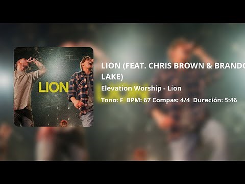 LION | Elevation Worship | Multitrack