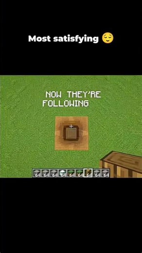 Most satisfying Minecraft short #chiltugamer #shorts #minecraft