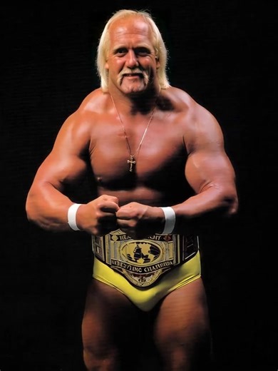 Come vi dico ogni anno, per oggi lasciate perdere i vostri smartphone, i tablet e i personal computer. Il Natale è fatto per trascorrerlo con le persone care, quelle alle quali volete più bene, quindi date loro un abbraccio, parlate insieme, trascorrete del tempo di qualità con i vostri familiari. Per leggere le mie storie su Hulk Hogan ci sono tutti gli altri giorni. Buon Natale a tutti voi da Hulk Hogan Fans Club Italia. 🎅🏻 🎄 #natale #hulkhogan #christmas #santaclaus #hulkamania #merrychris