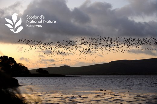 Loch Leven National Nature Reserve