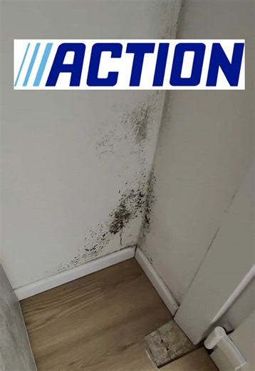 Effective Mold Removal Spray Tested