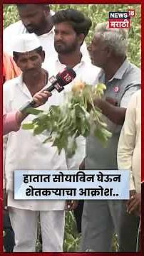 Marathwada Farmer News | हातात सोयाबीनचं पीक, डोळ्यात अश्रू! मराठवाड्यात शेतकऱ्यांचा आक्रोश | N18S|