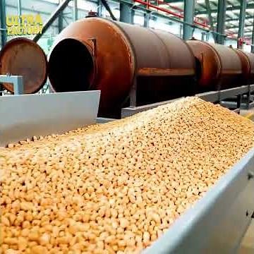 Inside a Modern Cassava Factory | Flour & Starch Processing Line