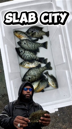 Shellcracker Slabs #Fishing #Reel'emNwith_BigJet