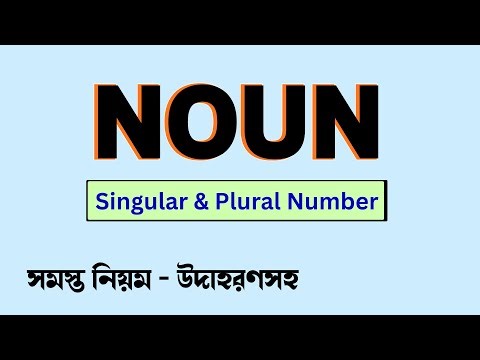 NOUN in English Grammar | Singular & Plural Number – সহজেই শিখে নাও