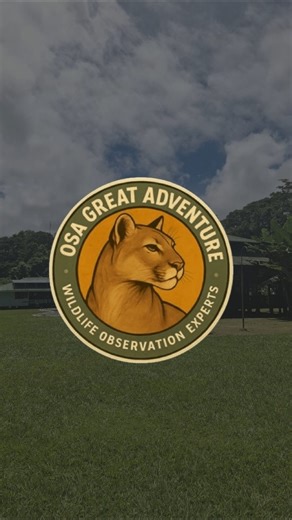 Exploring Corcovado National Park is much more than a tour…
