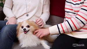 112K views · 385 reactions | Leaving your dog to go to work is WAY harder than bringing up #ToughMoneyTopics with your partner. Start the conversation with our financial compatibility quiz: https://www.buzzfeed.com/usbank/how-compatible-are-you-with-your-significant-other?utm_term=.lf11xkn7x9#.gl5gJyemJL | U.S. Bank | Facebook