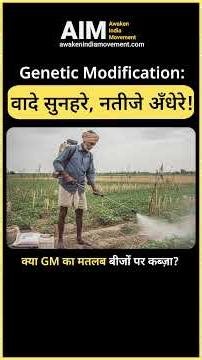 Genetic Modification: Golden promises, dark results! Does GM mean seed control? #GMO #Farming