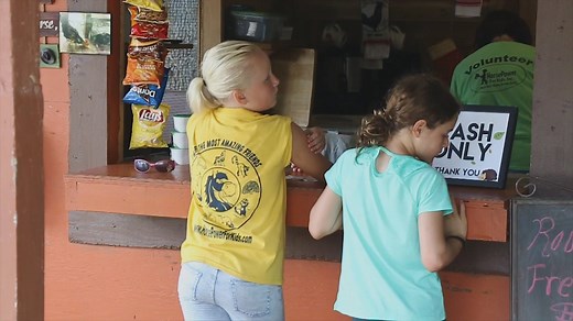 See how HorsePower for Kids & Animal Sanctuary has made a difference in the lives of Tampa children in this episode of Tales of Tampa! | City of Tampa