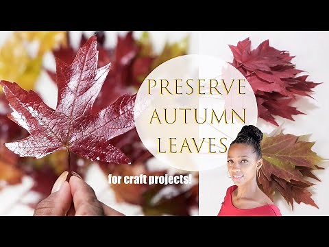 Preserve Autumn Leaves for Fall Crafts | Glycerin Preserved Leaves VS Dried| Fall Craft Ideas