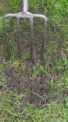 Thin Lawn Patch Repair