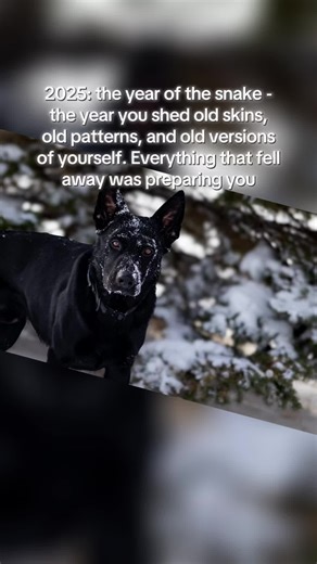 Understanding the Year of the Fire Horse