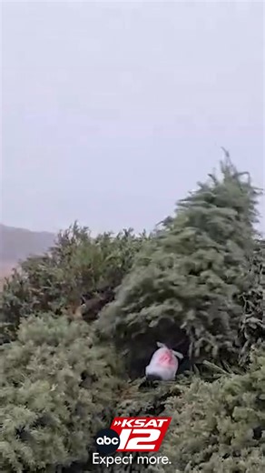 Christmas time may be over, but you don’t have to throw away old decorations. In San Antonio, there are numerous free ways to recycle your old trees and Christmas lights. MORE DETAILS: https://www.ksat.com/news/local/2025/12/28/heres-how-to-recycle-christmas-trees-lights-in-san-antonio/?utm_source=facebook&utm_medium=social&utm_campaign=snd&utm_content=ksat12 | KSAT 12 & KSAT.com