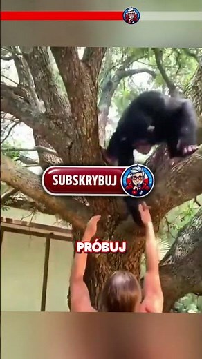 🐵 Nigdy nie uśmiechaj się do tej istoty!