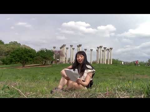 "Tasting The Country That Could Have Been Mine" by Hmong American poet Pacyinz Lyfoung