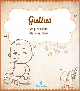 Gallus Name Meaning, Origin, History, And Popularity