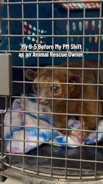 Animal Rescue is a 24/7 commitment! #animalrescue #animals