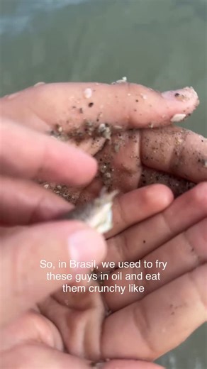 Ana Pessack, Ph.D. on Instagram: "Do ppl in the US eat these ?"