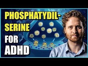 Phosphatidylserine Benefits For ADHD (The Research Explaining Why)