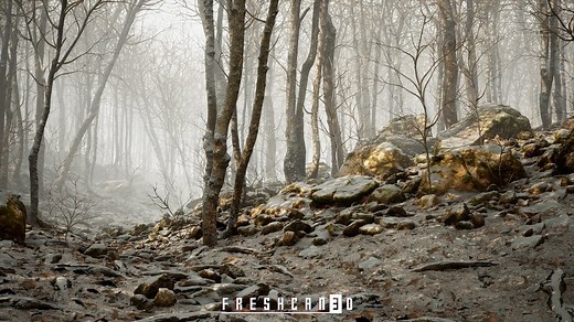 Unreal Engine - Procedural Oak Forest (Winter Forest, Spring Forest, Autumn Forest)