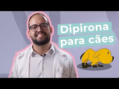 Dipirona para cães | Inova Hospital Veterinário