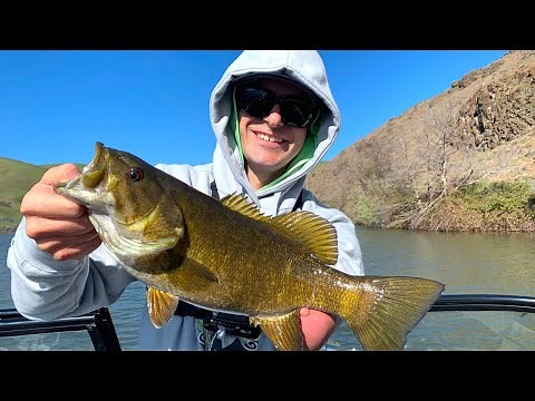 Spring Bass Fishing Oregon's BEST Smallmouth Bass Fishery (The John Day River)