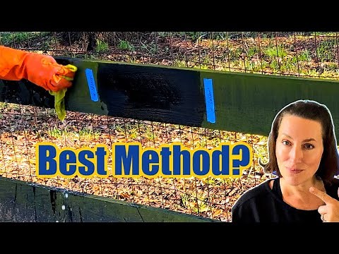 What Actually Removes Green Algae From Wood Fences (No Pressure Washer)