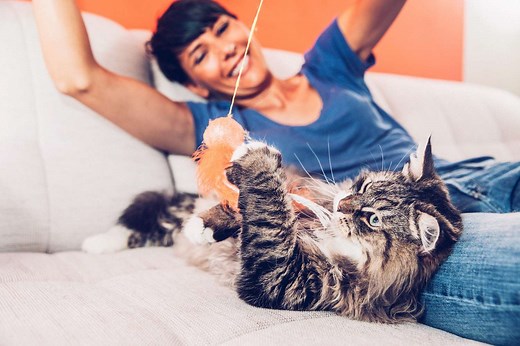 6 Easy Tips to Help Your Cat Lose Weight