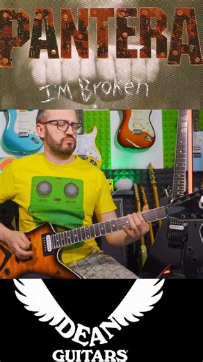 Pantera - I'm broken (Dean MLX Guitar Cover)