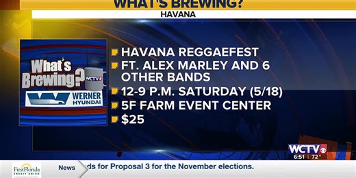 What’s Brewing - The 14th annual Havana Reggafest