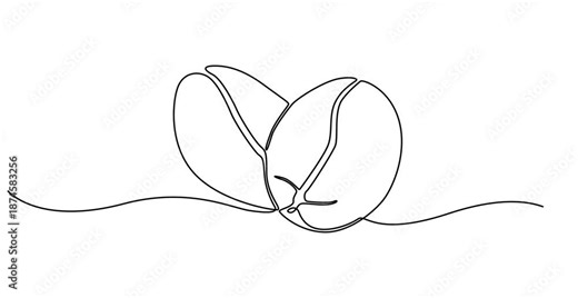 Coffee beans animation. Coffee grain continuous line drawing animated video, Animated self drawing of continuous line draw healthy organic roasted hot coffee bean. Full length single line, Coffee bean
