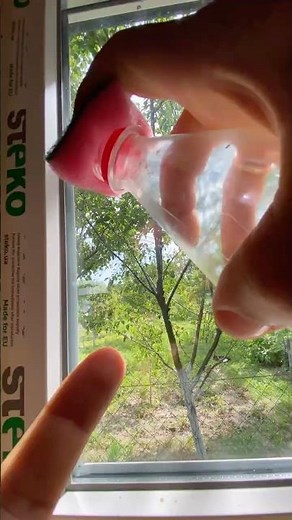 How to Remove Sticky Sticker from Glass Window | Easy Adhesive Removal Hacks