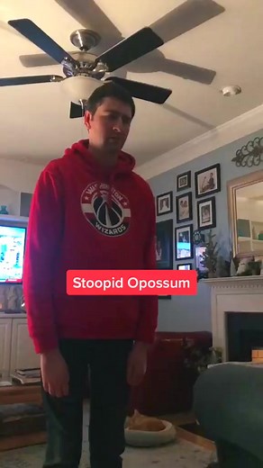 36K views · 1.4K reactions | Ry-Guy vs. Opossum A series... Episode 2 The Saga of Ratchet the Cat’s Dinner #fyp #viral #Siblings #autismawareness | Tabo Queen | Facebook